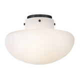 Molly Semi-Flush Mount - Black