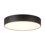 Musa Flush Mount — Flush Mount