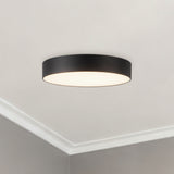 Musa Flush Mount — Flush Mount