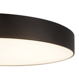 Musa Flush Mount — Flush Mount