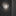 Mytilus Wall Lamp By A Emotional Light