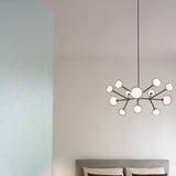 Nabila Chandelier
