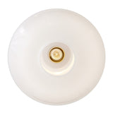 Nadia Pendant - Lacquered Brass