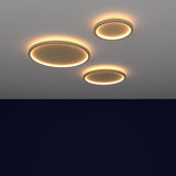 Naia Edge Lit Ceiling Light