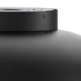 Napa Flush Mount and Pendant Black By DALS - Detailed View