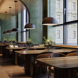 Napa Flush Mount and Pendant Black By DALS - Lifestyle View