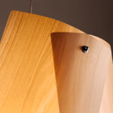 Natural Baum Pendant Light by Traum