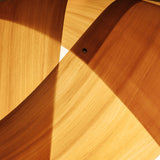Natural Zeppelin Pendant Light by Traum