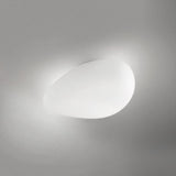Neochic Wall / Ceiling Light