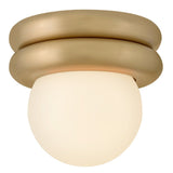 Noa Convertible Flush Mount - Lacquered Brass