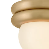 Noa Convertible Flush Mount - Lacquered Brass
