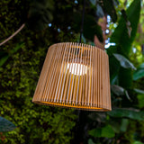 Okinawa Rechargeable Pendant Light - lit among foliage