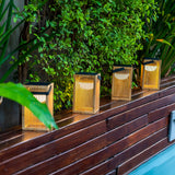 Okinawa Solar Lantern - a row on a ledge at dusk