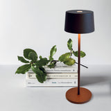 Olivia Battery Operated Table Lamp