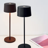 Olivia Battery Operated Table Lamp