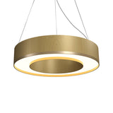 Organic Gold Cylindrical Pendant with Brass Accent by Accord