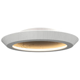 Organic White Petra Ceiling Light with Slate Accent by Accord