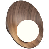 Oyster Wall Sconce Medium American Walnut By Accord