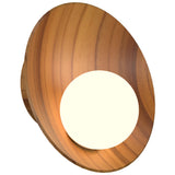 Oyster Wall Sconce Medium Teak By Accord