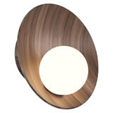 Oyster Wall Sconce Small American Walnut By Accord