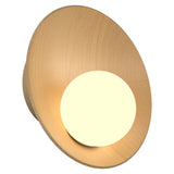 Oyster Wall Sconce Small Maple By Accord