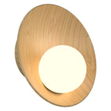Oyster Wall Sconce Small Sand By Accord