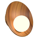 Oyster Wall Sconce Small Teak By Accord