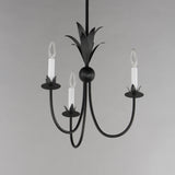 Paloma Chandelier Anthracite by Maxim Lighting