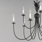 Paloma Chandelier Anthracite by Maxim Lighting