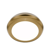 Parthenon Ceiling Mount 4CCT