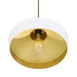 Passion Pendant - White & Powder Coated Chrome