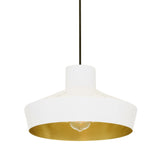 Passion Pendant - White & Powder Coated Chrome