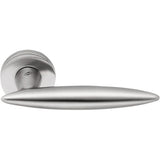 Pegaso Door Lever in Satin Chrome by Colombo Design