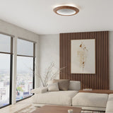 Petra Ceiling Light with Slate Accent by Accord in Living Room