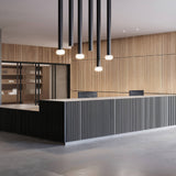 Pillar Large Black Glass Ball Modular Flush Mount By DALS - Lifestyle View8
