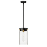 Pinn Large Pendant Black / Satin Brass by Maxim Lighting
