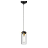 Pinn Mini Pendant Black / Satin Brass by Maxim Lighting