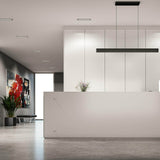Pinpoint Multi-Spot Linear Pendant Medium By DALS - Lifestyle View5