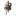 Planar LED Wall Sconce - Bronze