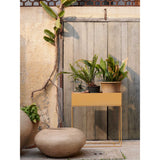 Plant Box lifestyle view 4