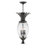 Plantation Large Hanging Lantern - Museum Black - by Hinkley