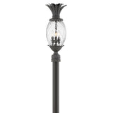 Plantation Large Post Mount Lantern - Museum Black - by Hinkley