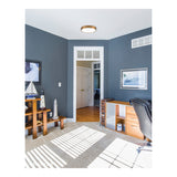 Plato Ceiling Mount lifestyle