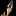 Plumeria Wall Light By Schonbek Beyond - Detailed View