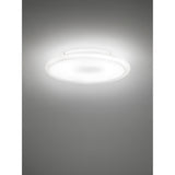 Pod Wall/Ceiling Light