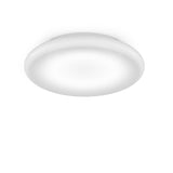 Pod Wall/Ceiling Light