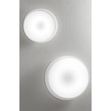 Pod Wall/Ceiling Light