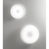 Pod Wall/Ceiling Light