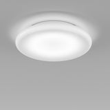 Pod Wall/Ceiling Light