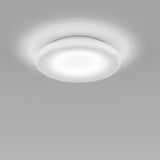 Pod Wall/Ceiling Light